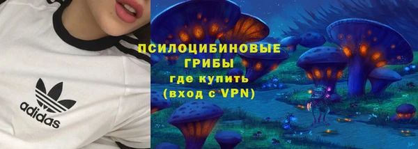 прущие крисы Новодвинск
