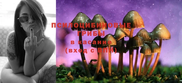 jwh Новокубанск