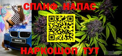 спиды Заволжье
