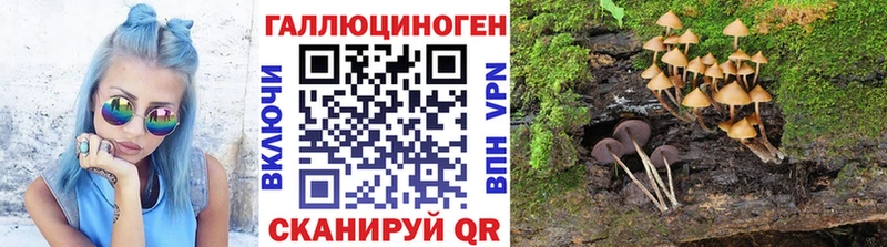 где купить наркоту  Ялта  Псилоцибиновые грибы Psilocybine cubensis 