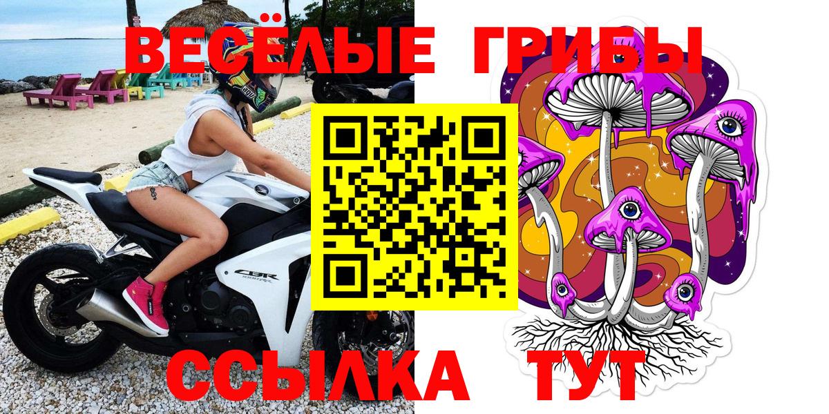 Ялта  Псилоцибиновые грибы Psilocybe  Галлюциногенные грибы прущие грибы  Вход с VPN 