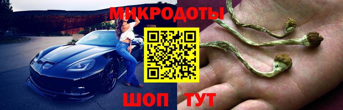 Псилоцибиновые грибы Psilocybe  Ялта  Галлюциногенные грибы MAGIC MUSHROOMS 